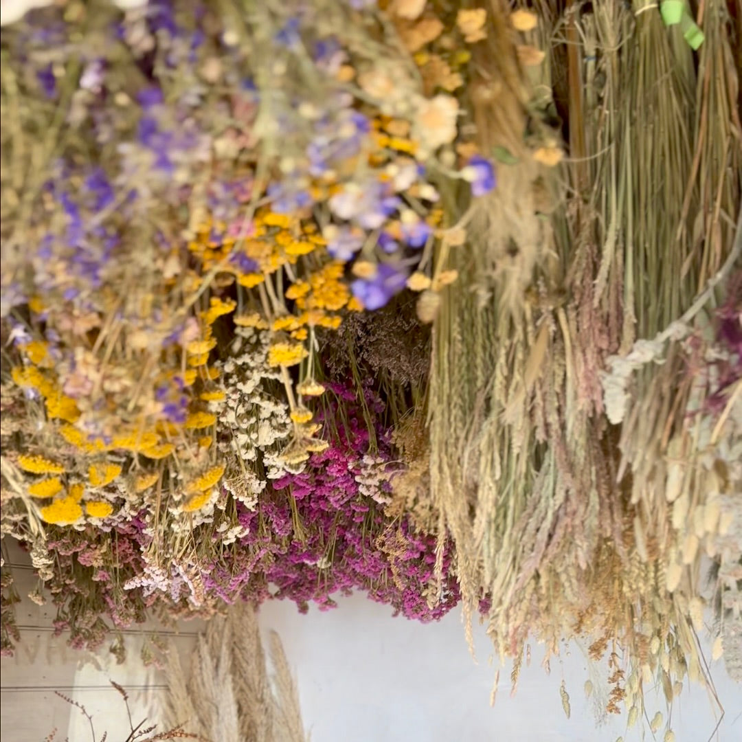 Notes from Herridge - Edition 06