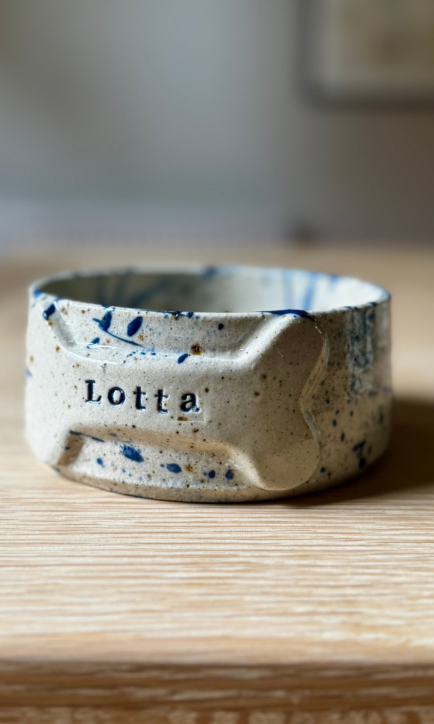 Lotta Pet Bowl