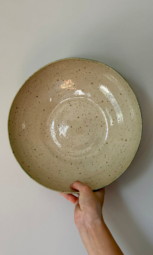 Feasting Bowl Flecked Celadon Green