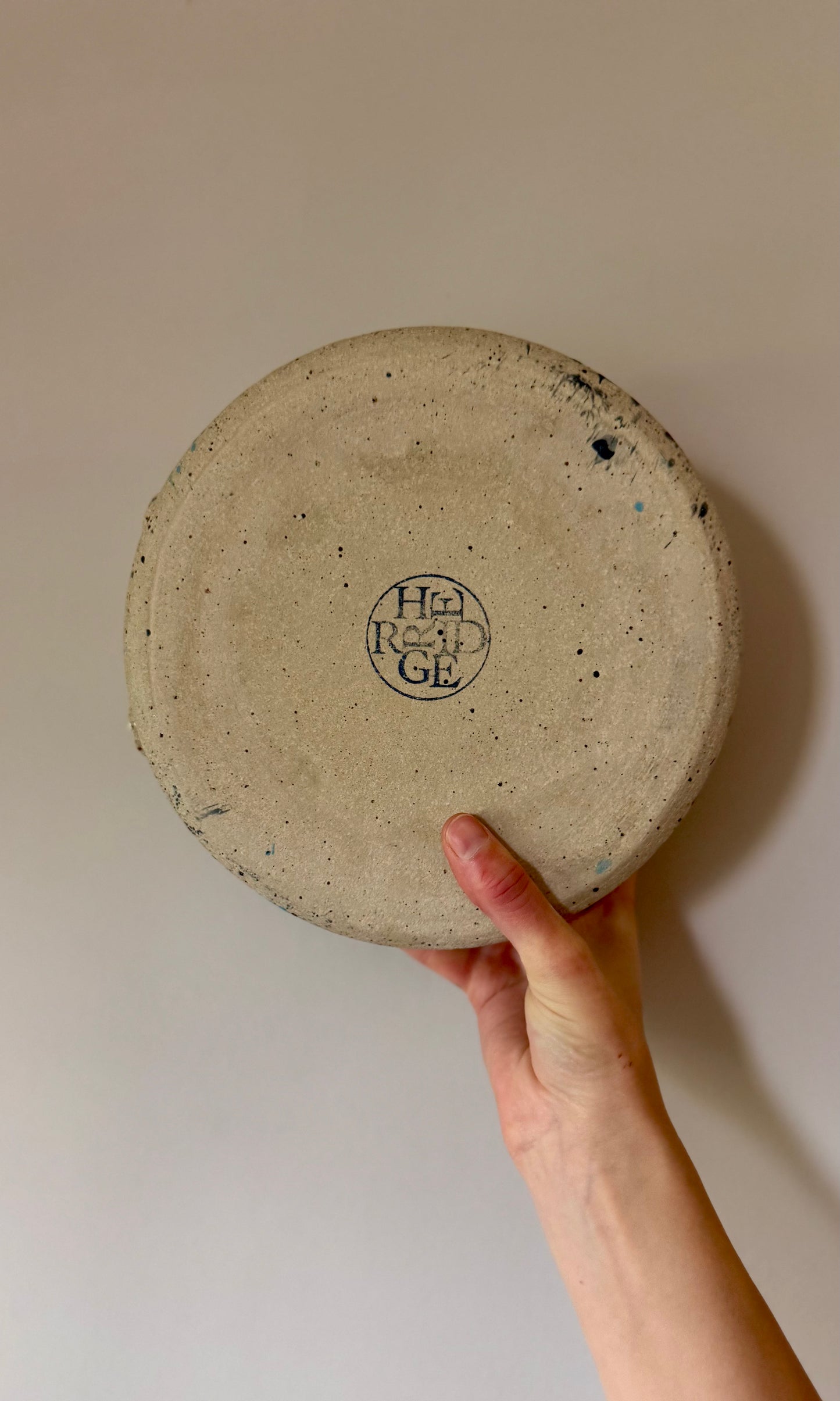 Massive Pet Bowl - Snow