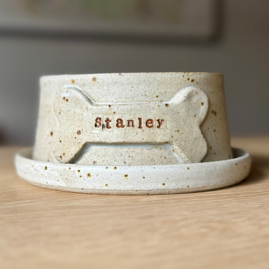 Medium Pet Bowl & Plate - Stanley